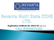 Revanta Cghs Society