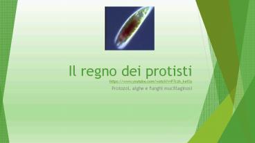 Il regno deiprotisti