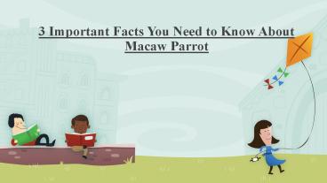 Important Facts You Need to Know About Macaw Parrot