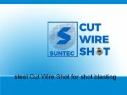 Steel Cut Wire Shot for shot blasting (13)