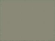 SAI 430  course Marvelous Learning/snaptutorial.com