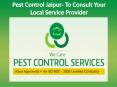 Pest Control Jaipur- To Consult Your Local Service Provider PowerPoint PPT Presentation