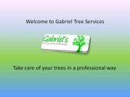 Landscape Design Los Angeles at gabrieltreeservices.com