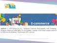 E-commerce Websites Design delhi PowerPoint PPT Presentation