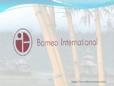 borneo International (1)