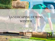 Landscaping during winter