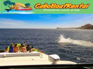 Cabo boat rental
