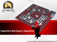 Argentina Red Stag In Argentina PowerPoint PPT Presentation