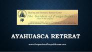 Ayahuasca Retreat