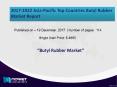 Top Countries Butyl Rubber MarketIs Up To Mark And Still In Process Of Developing PowerPoint PPT Presentation