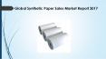 Global Synthetic Paper Sales Market Report 2017 PowerPoint PPT Presentation