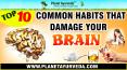Top 10 Common Bad Habits That Should be Avoided for Healthy Brain PowerPoint PPT Presentation