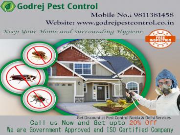 Get Discount at Pest Control Noida & Delhi Services