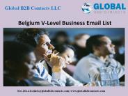 Belgium V-level Business Email List