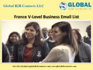 France V-level Business Email List