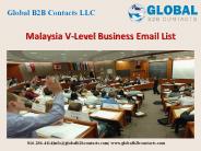 Malaysia V-level Business Email List