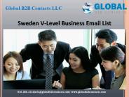 Sweden v-level business e-mail list