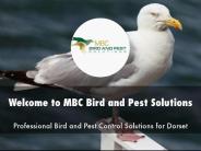 Detail Presentation About MBC Bird and Pest Solutions