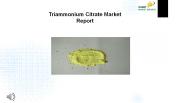 Triammonium Citrate Market Research Report 2017