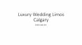 Wedding Limousine Service in Calgary (1) PowerPoint PPT Presentation