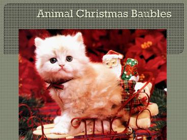 cute pets wishing you merry christmas