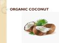 Organic Coconut Products Wholesaler in UK PowerPoint PPT Presentation