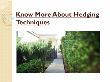 Know More About Hedging Techniques