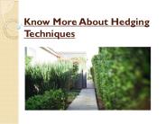 Know More About Hedging Techniques