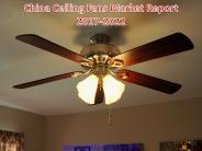 China Ceiling Fans Market Report 2017-2022