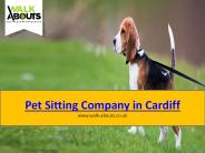 Pet Sitting Company in Cardiff