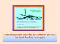 eBranding India provides consultation services for Seed funding in Nagpur PowerPoint PPT Presentation