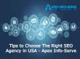 Tips To Choose The Right SEO Agency in USA - Apex Info-Serve PowerPoint PPT Presentation