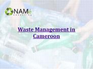 Waste management in Cameroon