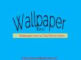 Buy Designer Wallpaper Online At Lowest Price.