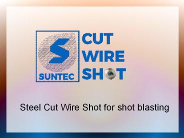 Steel Cut Wire Shot for shot blasting (14)