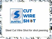 Steel Cut Wire Shot for shot peening (15)
