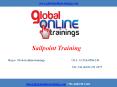 Sailpoint Training | Best Sailpoint IdentityIQ 7.x Online Course -GOT PowerPoint PPT Presentation