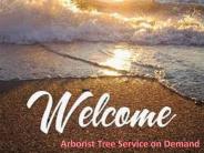 Arborist Tree Service on Demand