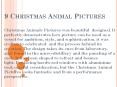 9 Christmas Animal Pictures PowerPoint PPT Presentation