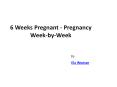 6 Weeks Pregnant - Pregnancy Week-by-Week PowerPoint PPT Presentation