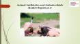Animal Antibiotics and Antimicrobials Market Report 2017 PowerPoint PPT Presentation