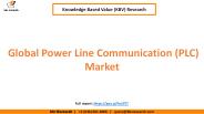 Global Power Line Communication (PLC) Market Share
