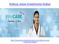 Best treatment for Kidney stone in Dubai PowerPoint PPT Presentation