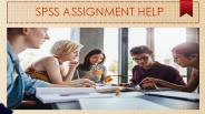 SPSS ASSIGNMENT HELP