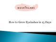 How to Grow Eyelashes in 15 Days PowerPoint PPT Presentation