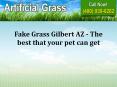 Fake Grass Gilbert AZ - The best that your pet can get PowerPoint PPT Presentation