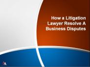 How a Litigation Lawyer Resolve A Business Disputes