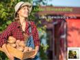 Learn Urban Homesteading Skills | Homestead.Org PowerPoint PPT Presentation