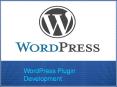 Find Exclusive WordPress Plugin Development Services in India PowerPoint PPT Presentation
