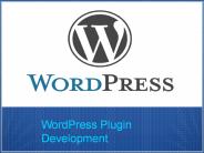 Find Exclusive WordPress Plugin Development Services in India